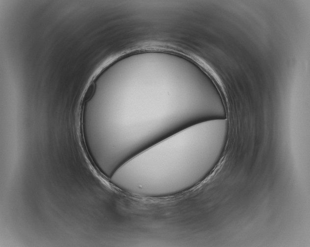 X0000112381437200908131315