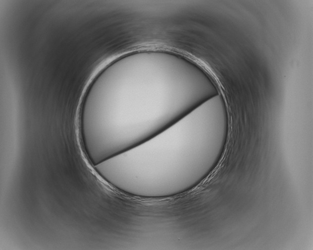 X0000112381440200908131315