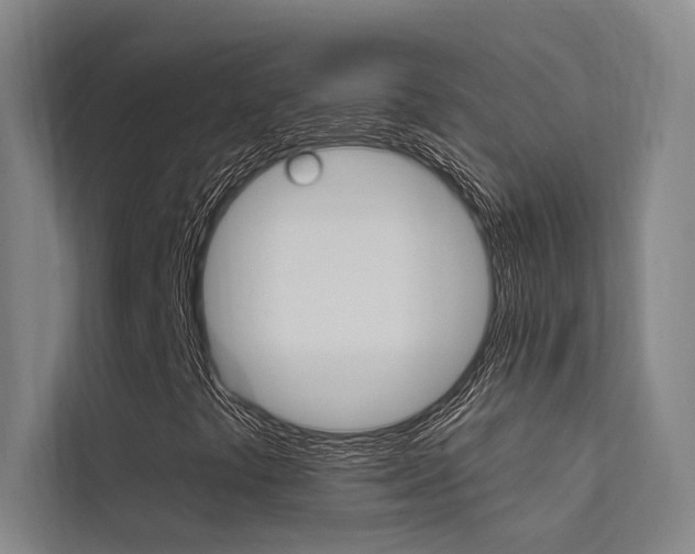 X0000112381441200908131314
