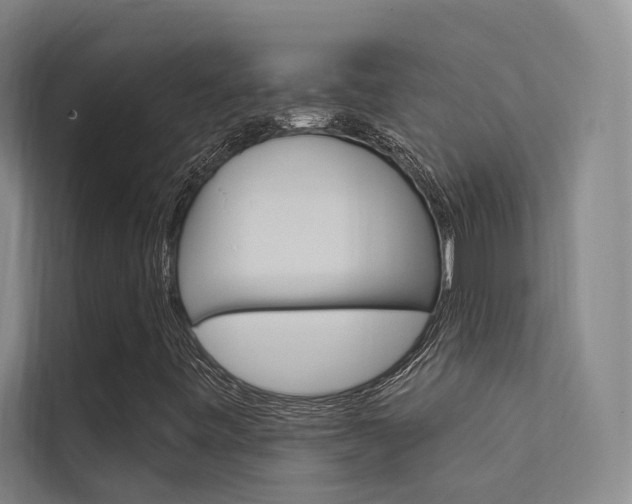 X0000112381443200908131314