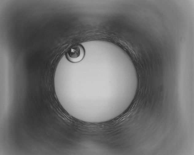 X0000112381444200908131314