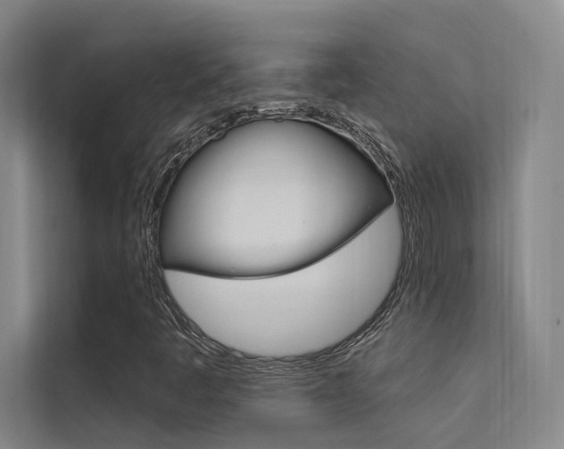 X0000112381445200908131314