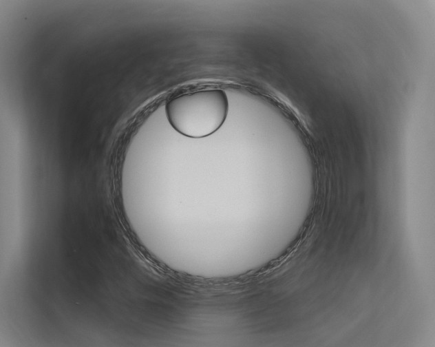 X0000112381448200908131314