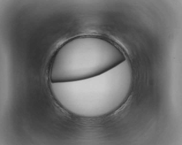 X0000112381455200908131314