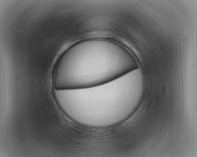 X0000112381459200908131314