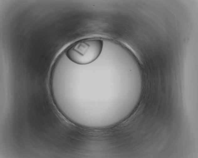 X0000112381460200908131314