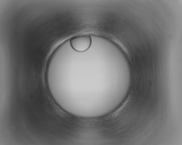 X0000112381461200908131314