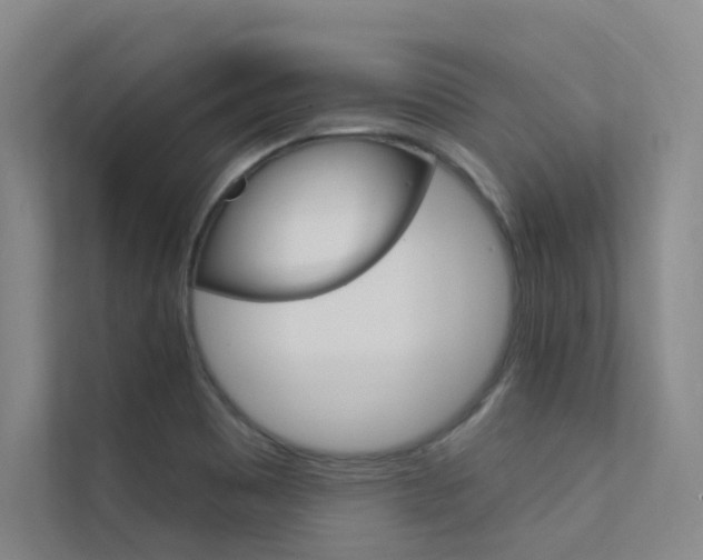 X0000112381465200908131314