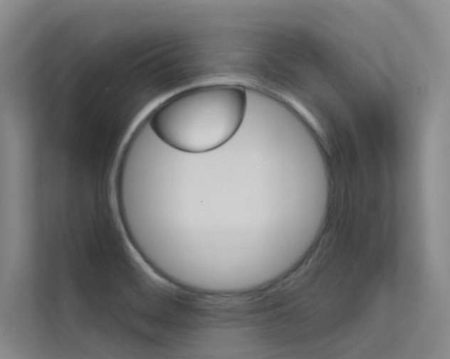 X0000112381468200908131314