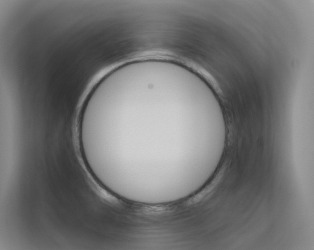 X0000112381470200908131314