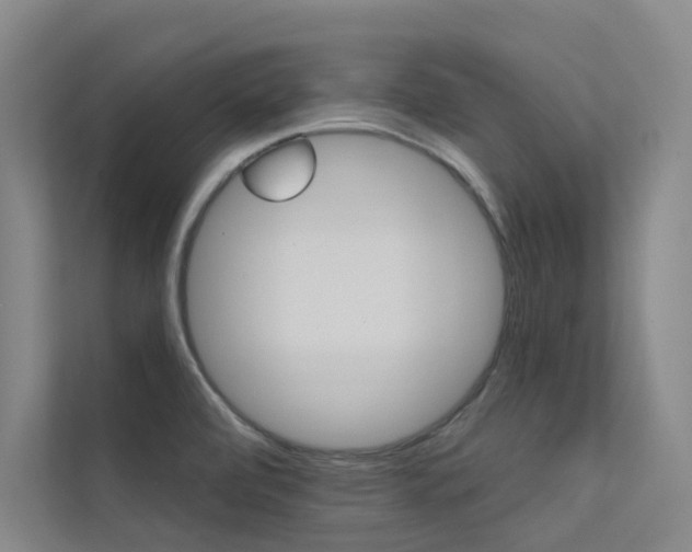X0000112381472200908131314