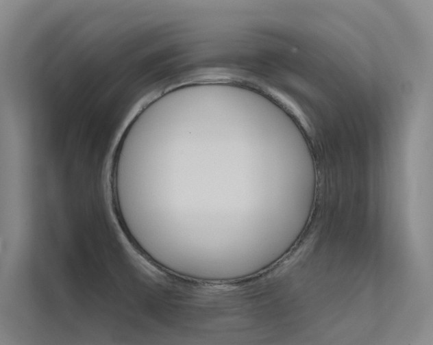 X0000112381475200908131314
