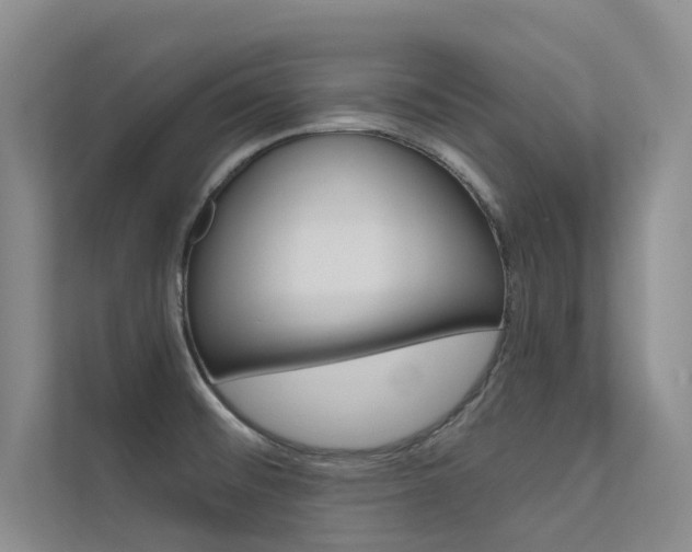 X0000112381476200908131314