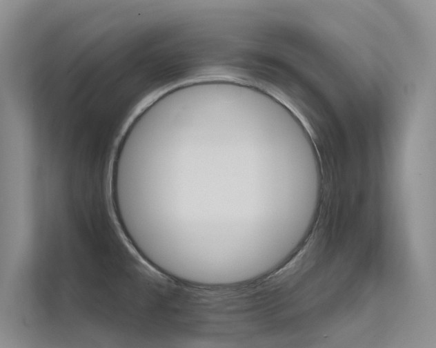 X0000112381477200908131314