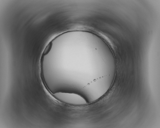 X0000112381479200908131314