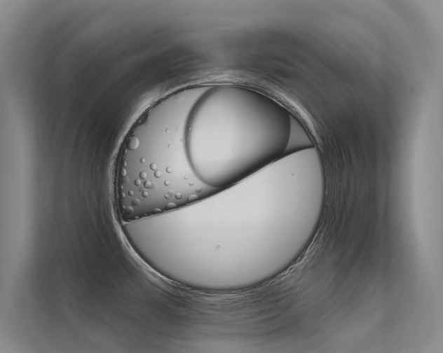 X0000112381483200908131314