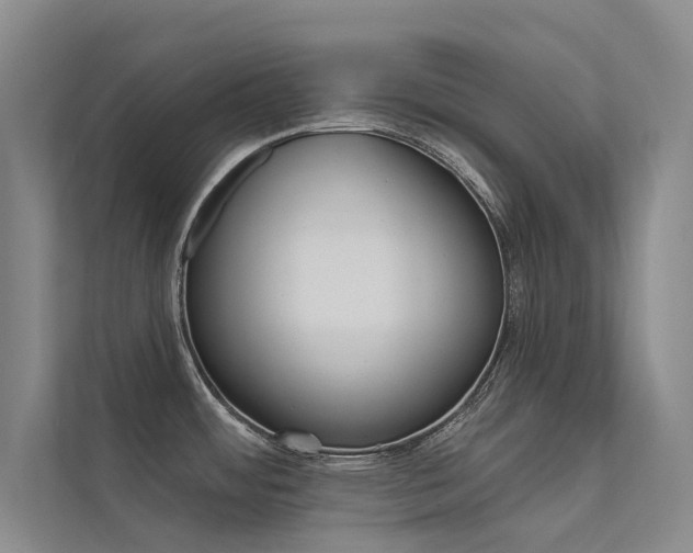 X0000112381484200908131314