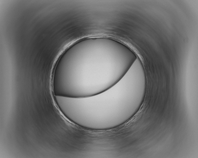 X0000112381485200908131314
