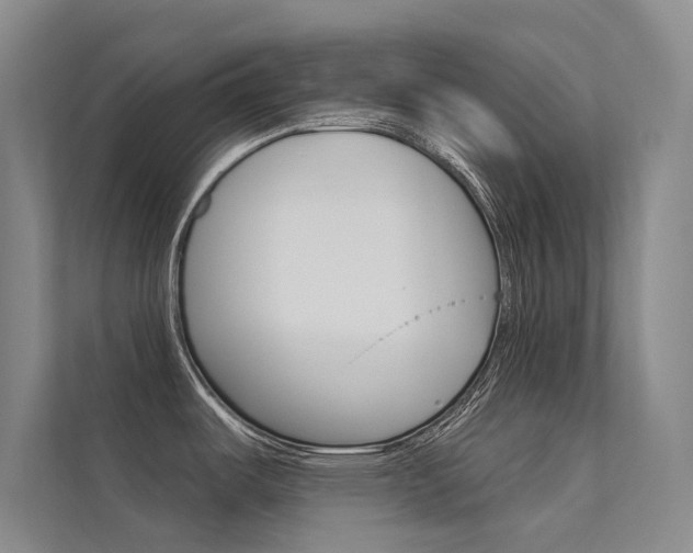 X0000112381487200908131314