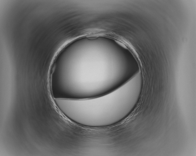 X0000112381488200908131314