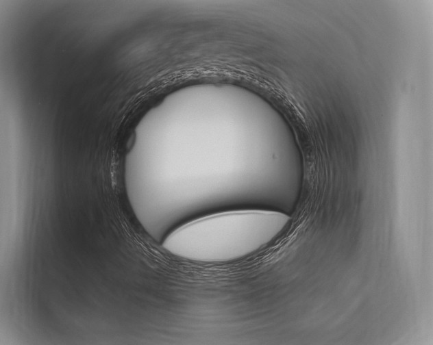 X0000112381490200908131313