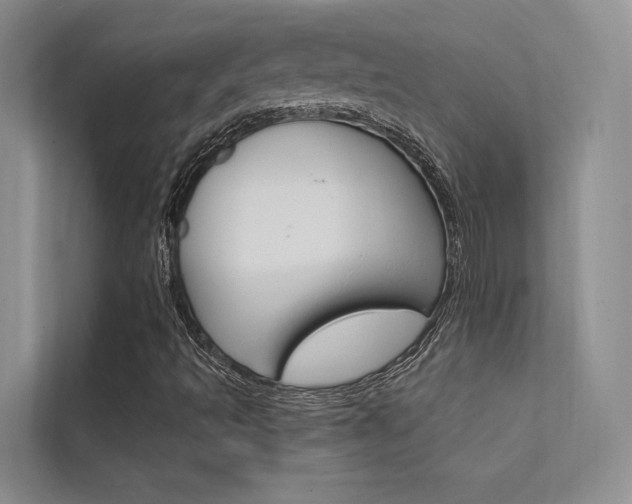 X0000112381493200908131313