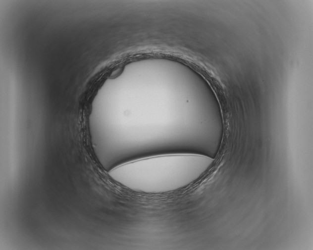 X0000112381494200908131313