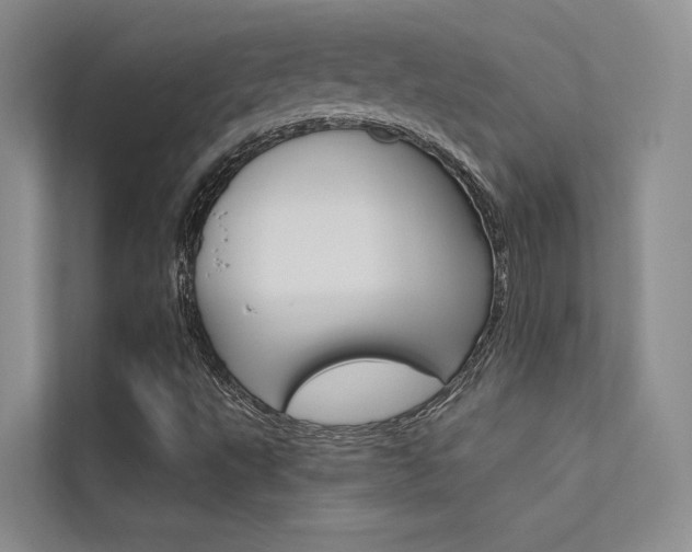 X0000112381495200908131313