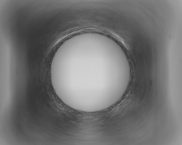 X0000112381496200908131313