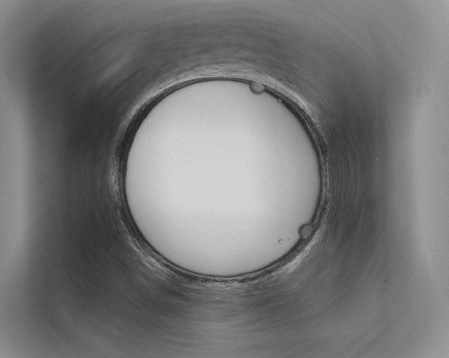 X0000112381498200908131313