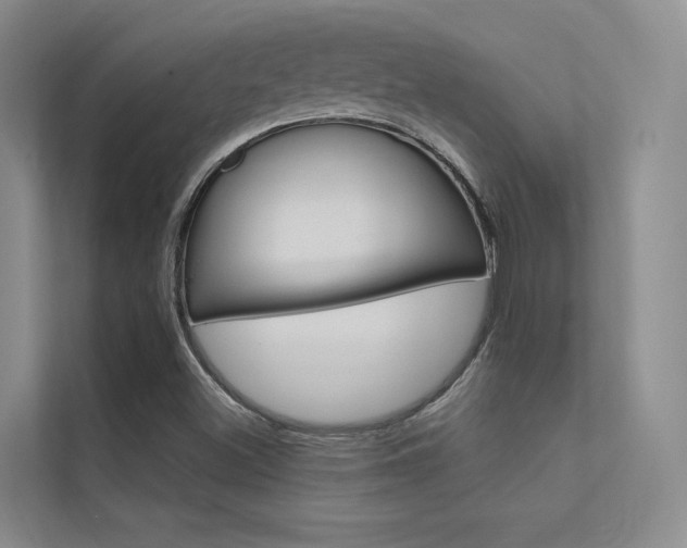 X0000112381500200908131313