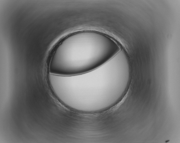 X0000112381502200908131313