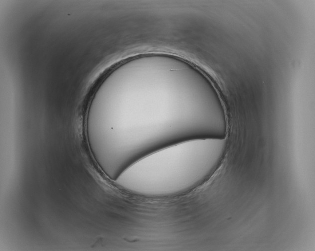 X0000112381503200908131313
