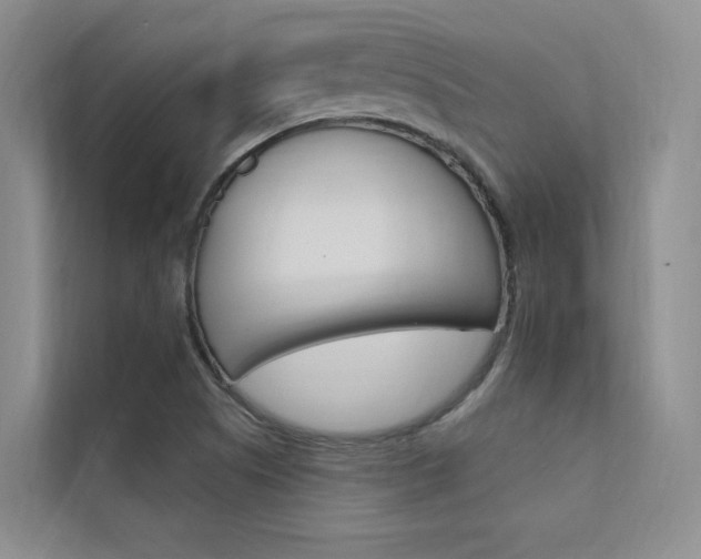 X0000112381505200908131313