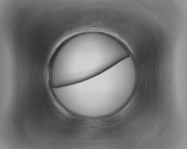 X0000112381511200908131313