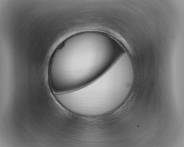 X0000112381512200908131313