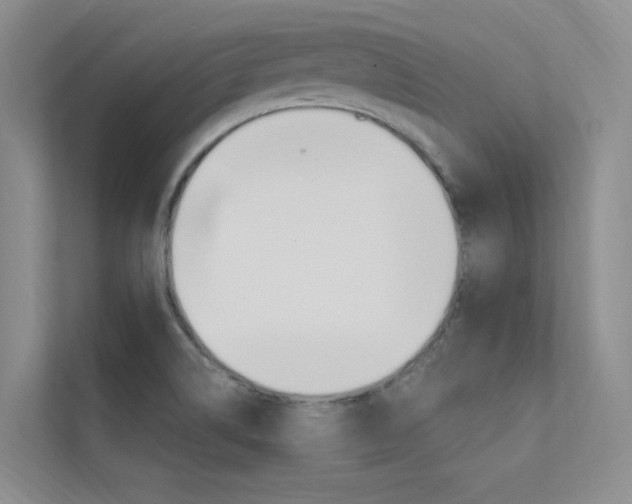 X0000112381514200908131313