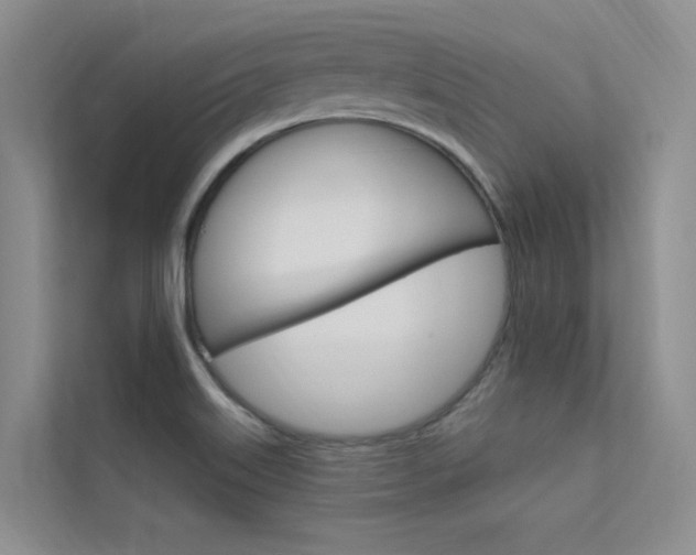 X0000112381515200908131313