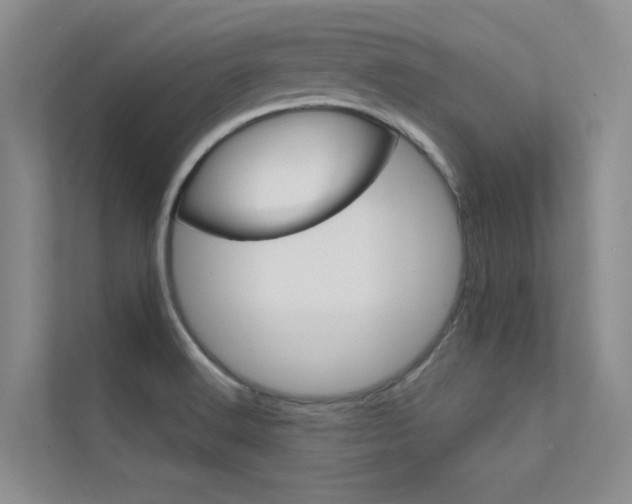 X0000112381516200908131313
