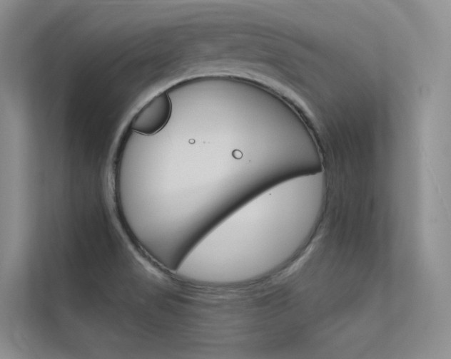 X0000112381517200908131313