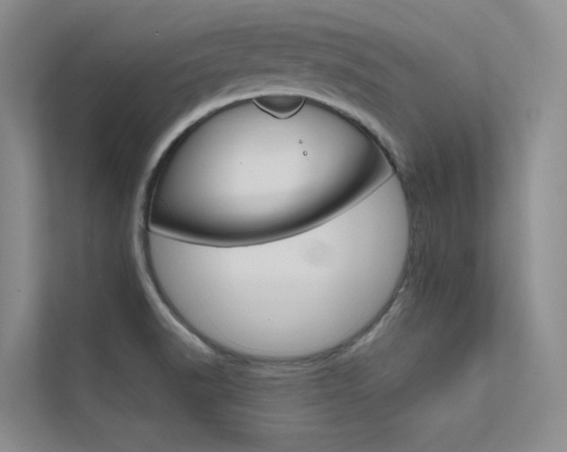 X0000112381518200908131313