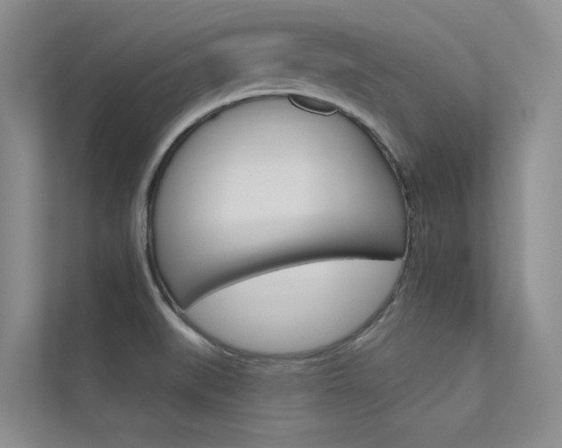 X0000112381519200908131313