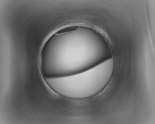 X0000112381520200908131313