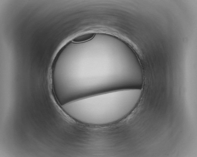 X0000112381522200908131313