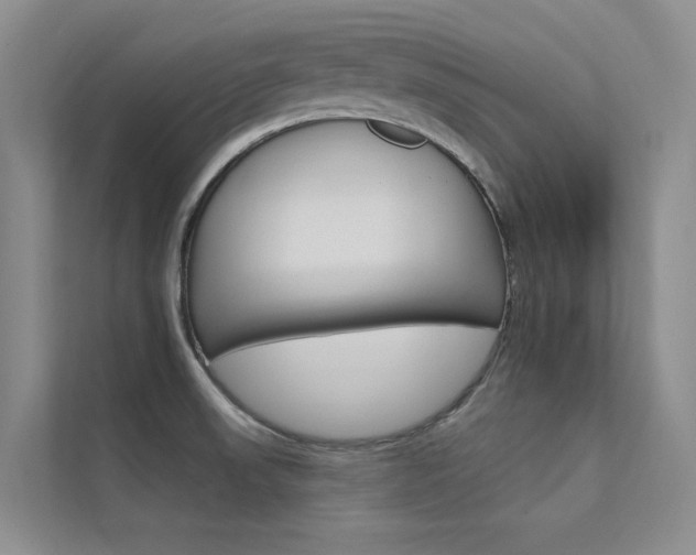 X0000112381523200908131313