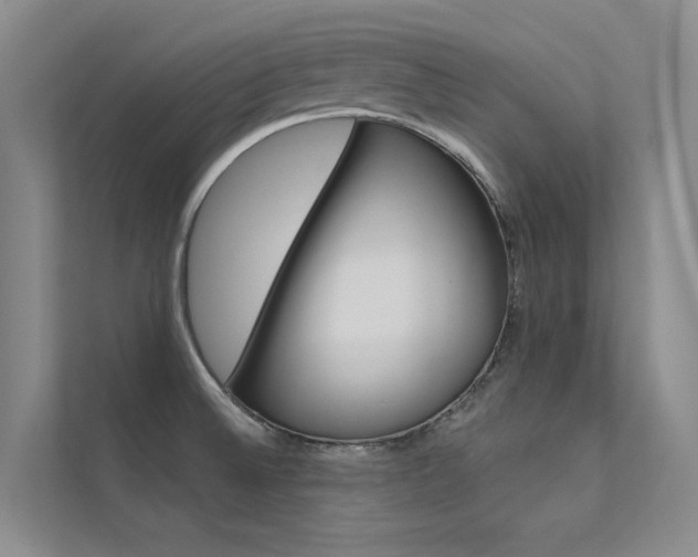 X0000112381524200908131313