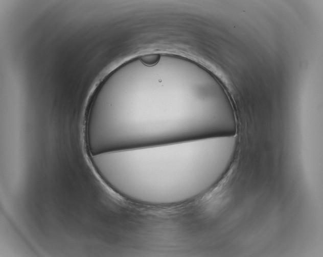 X0000112381525200908131313