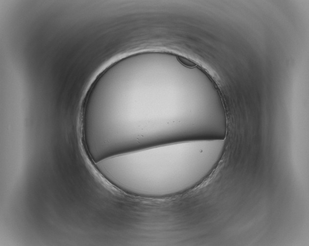 X0000112381526200908131313