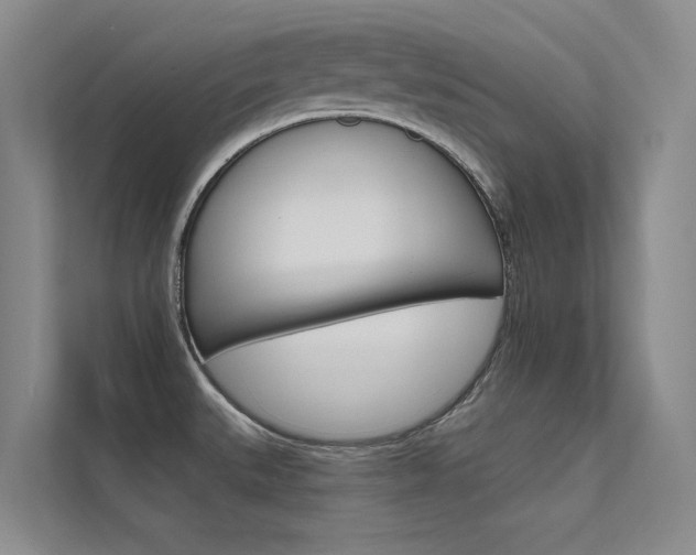 X0000112381527200908131313