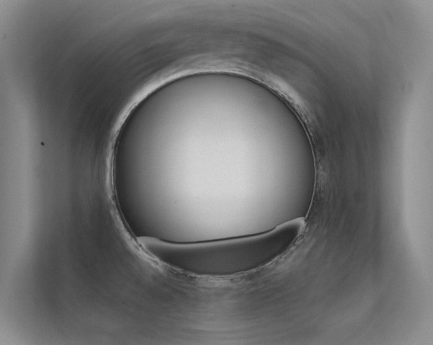 X0000112381528200908131313